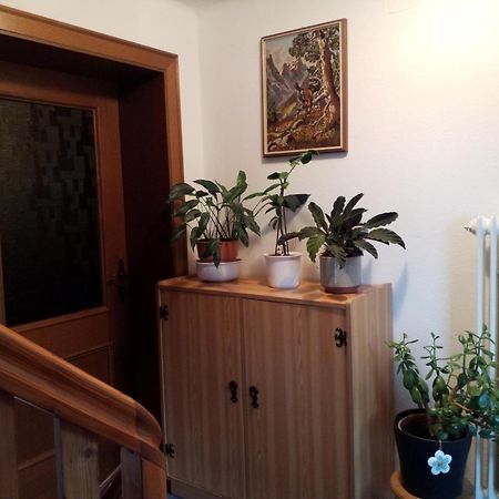 Appartamento Haus Hubertusheim Schladming Esterno foto