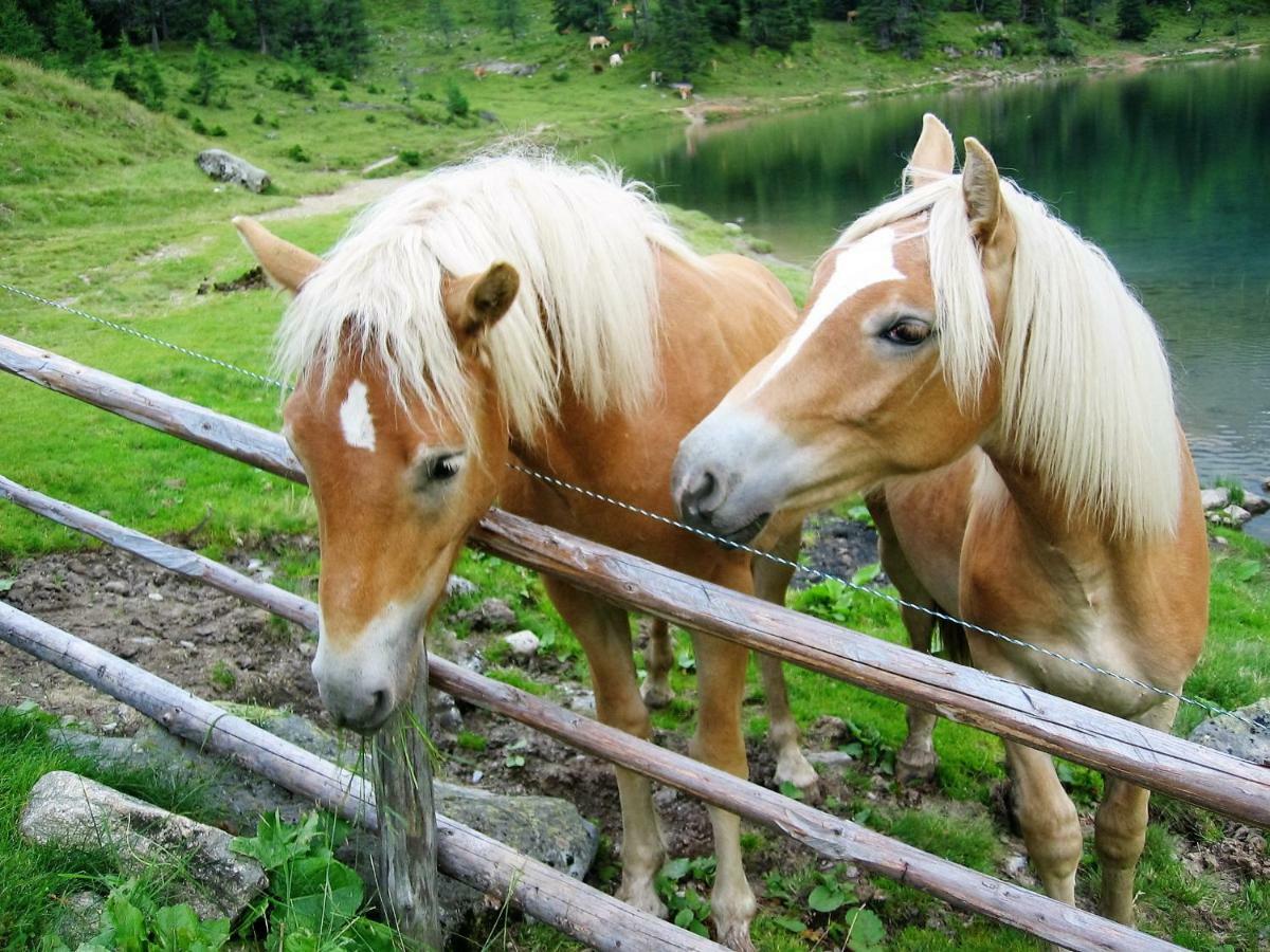 Appartamento Haus Hubertusheim Schladming Esterno foto