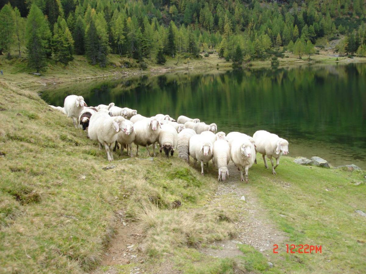 Appartamento Haus Hubertusheim Schladming Esterno foto