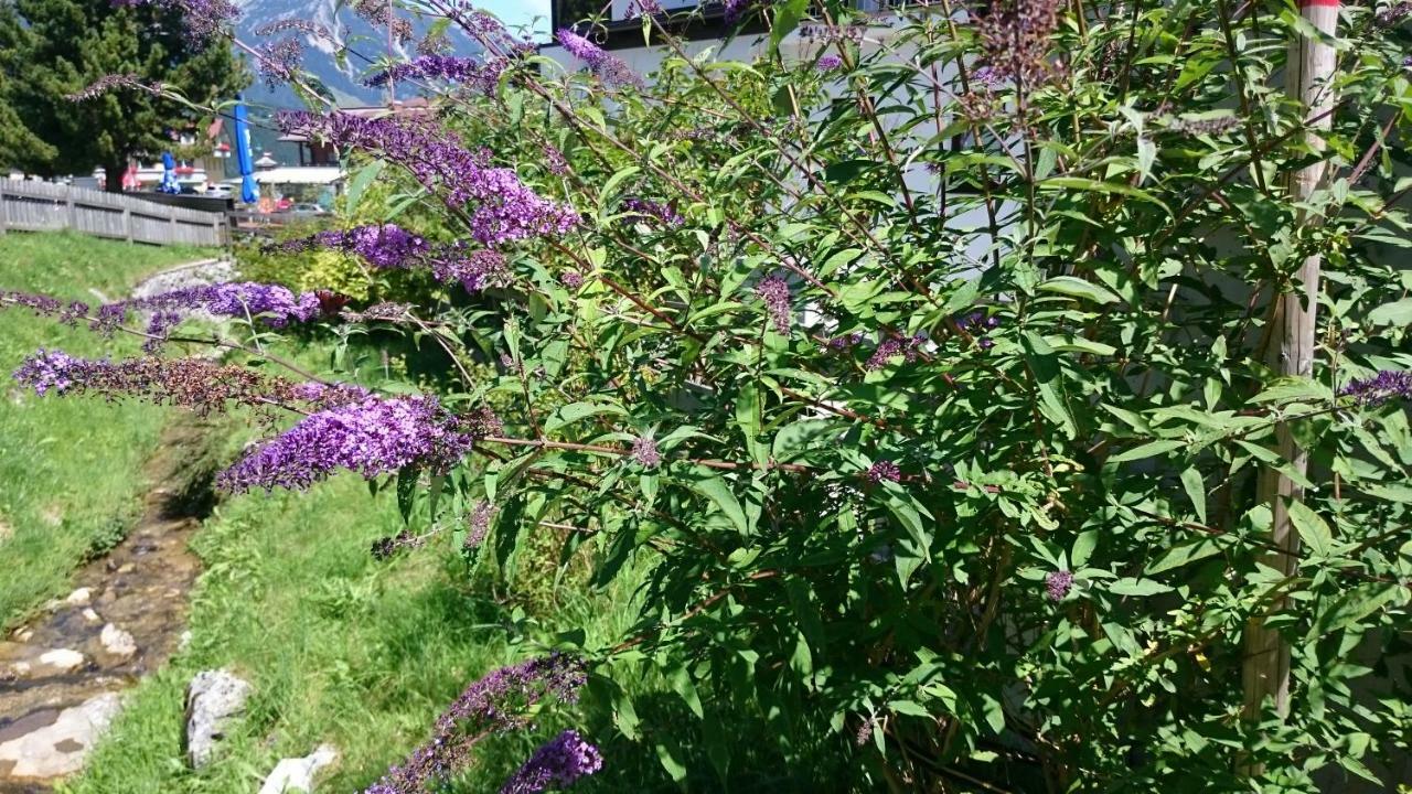 Appartamento Haus Hubertusheim Schladming Esterno foto