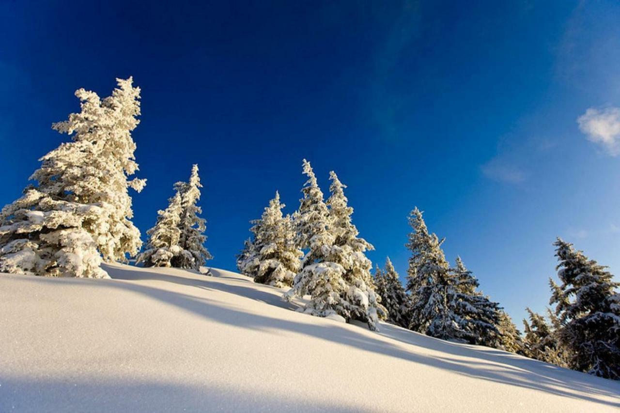 Appartamento Haus Hubertusheim Schladming Esterno foto